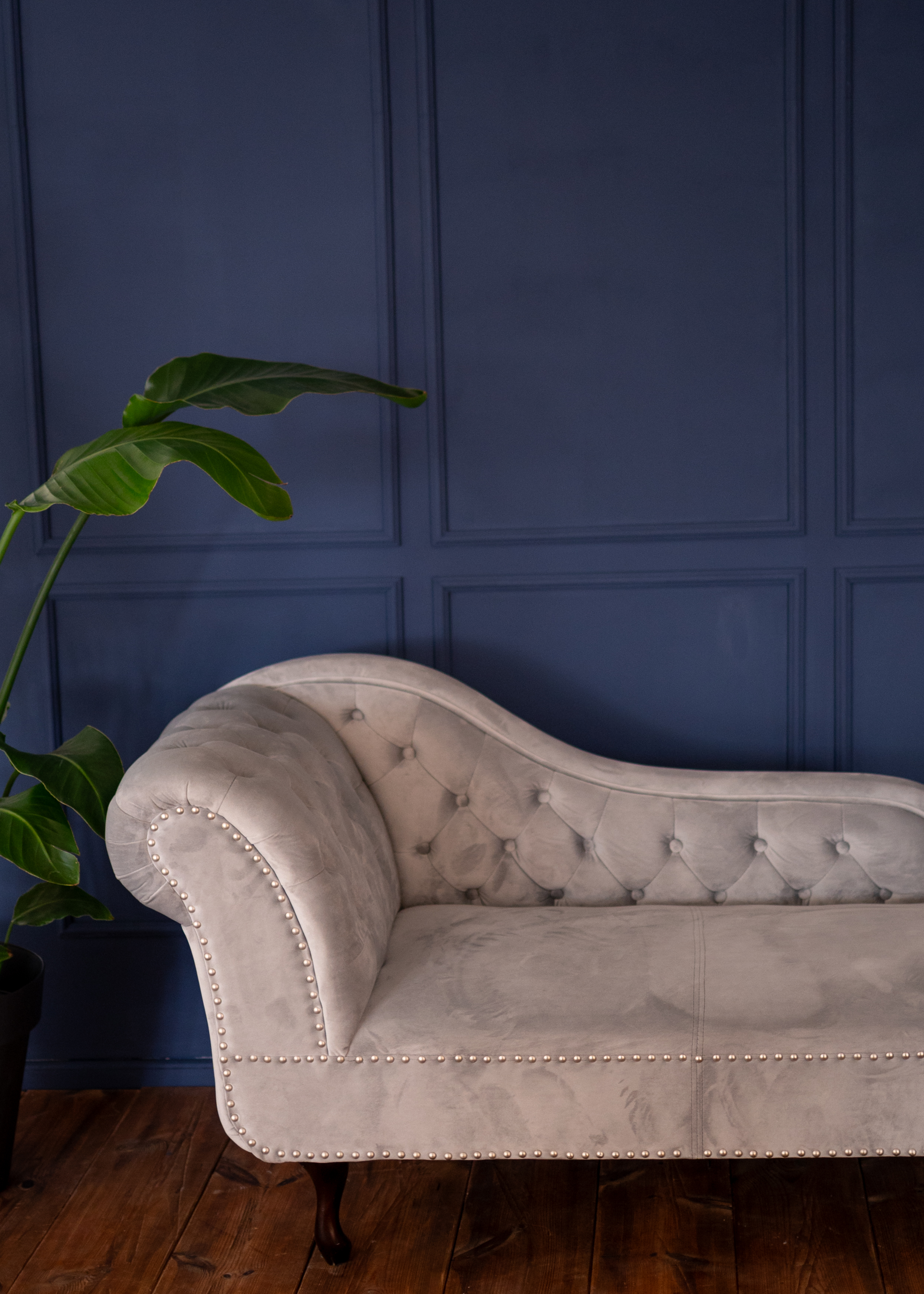 Elegantes Studio-Set mit Chaiselongue