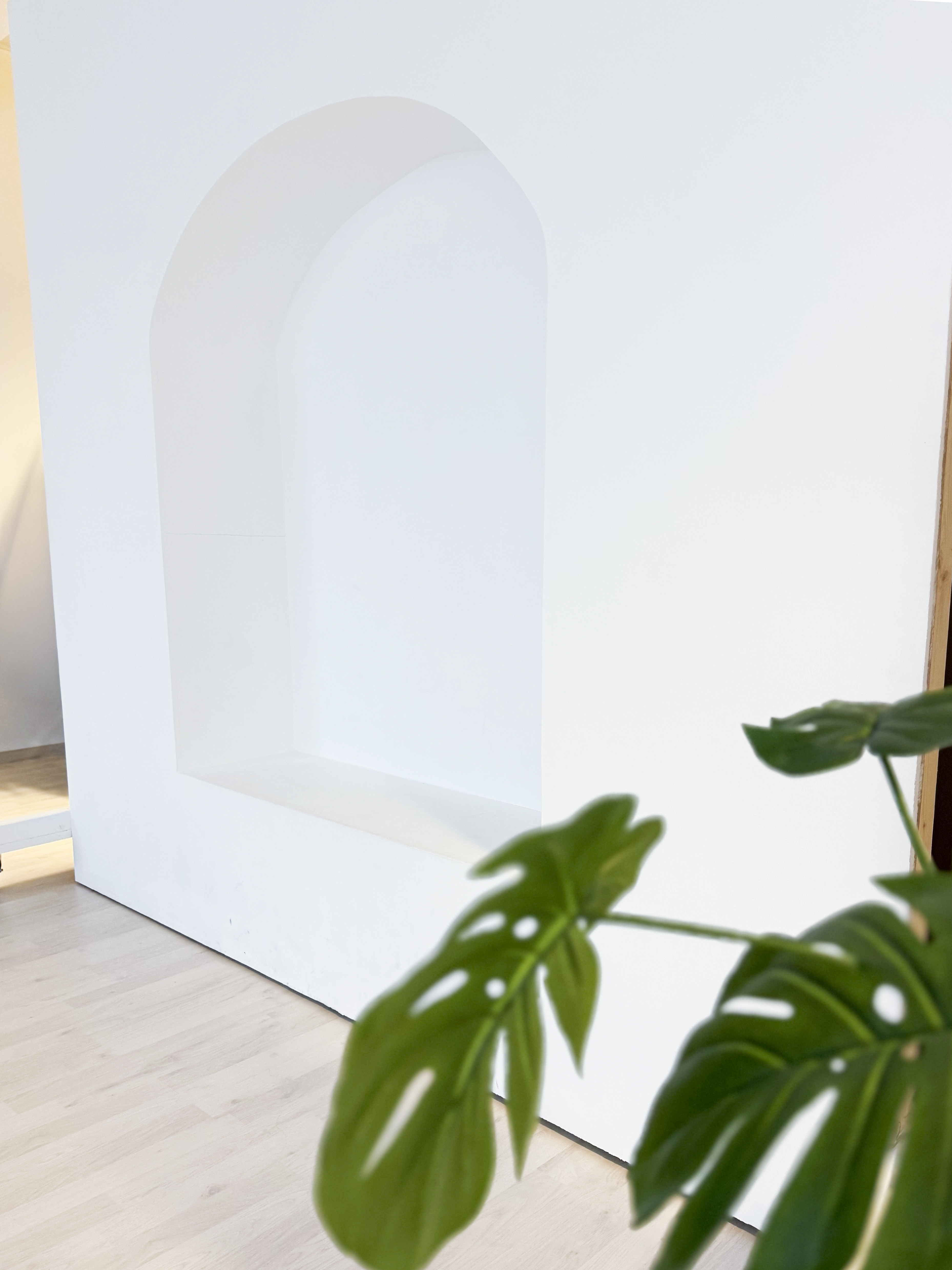 Weiße Bogenwand mit Monstera-Pflanze